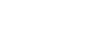Reverse Mortgage Estimate
